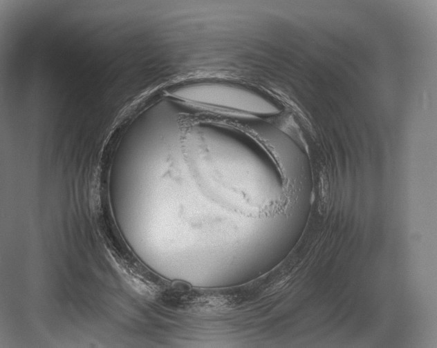 X0000082690492200702161728