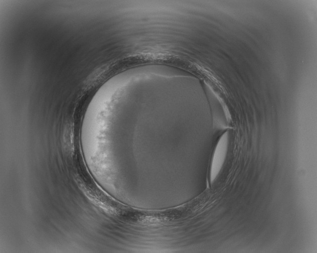 X0000082690494200702161728