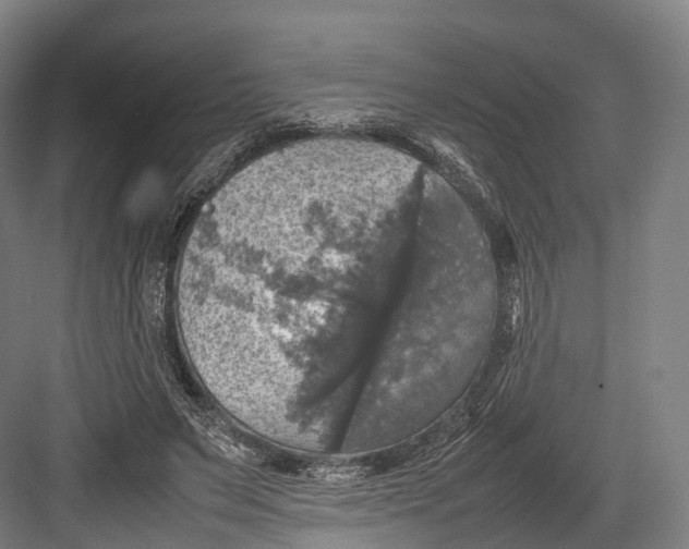 X0000082690495200702161728