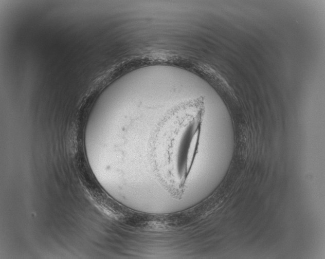 X0000082690496200702161728