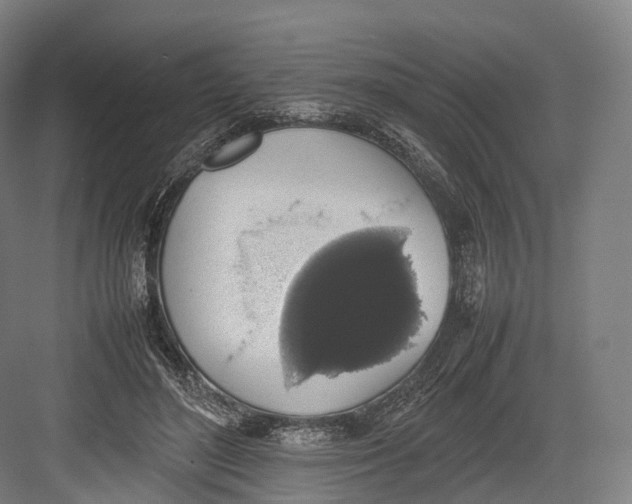 X0000082690500200702161728