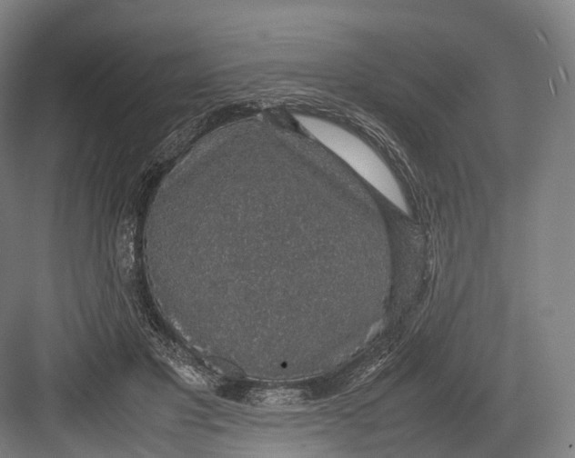 X0000082690501200702161728