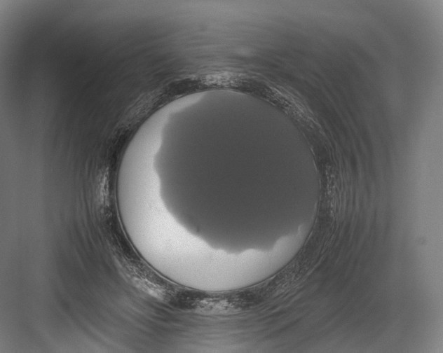 X0000082690502200702161728