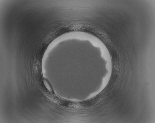 X0000082690503200702161727