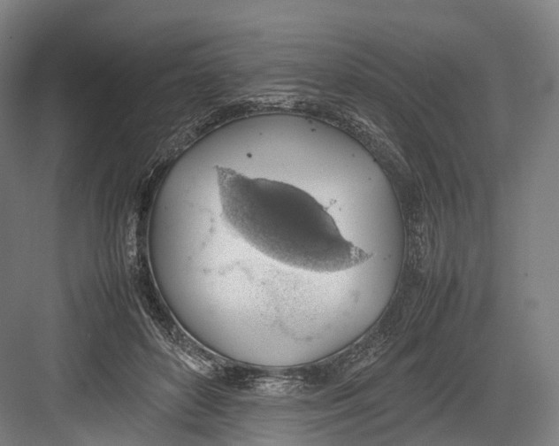 X0000082690504200702161727