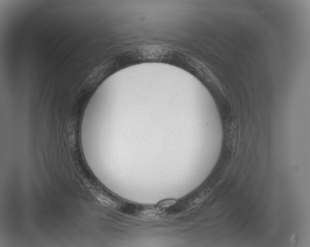 X0000082690505200702161727