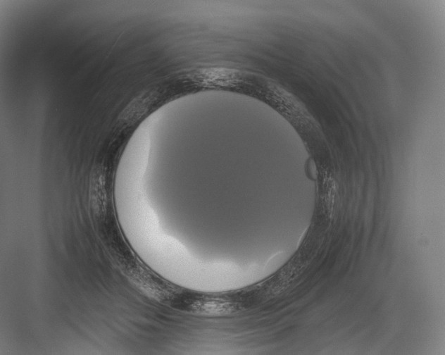 X0000082690506200702161727