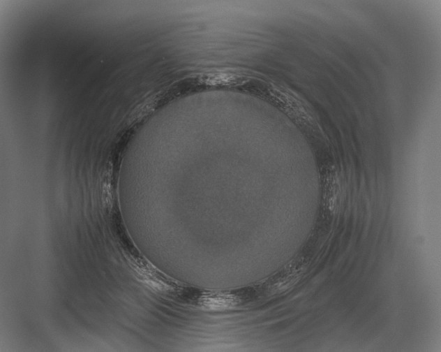 X0000082690510200702161727