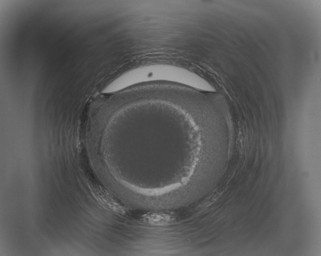 X0000082690512200702161727