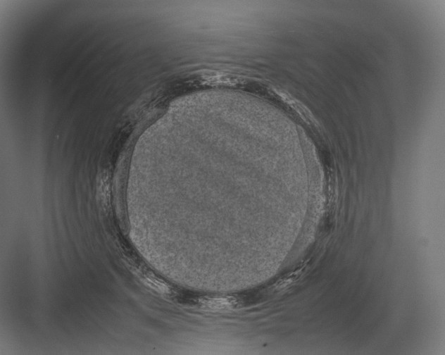 X0000082690513200702161727