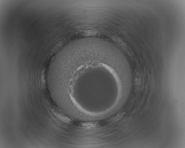 X0000082690516200702161727