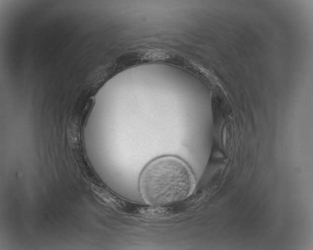 X0000082690517200702161727