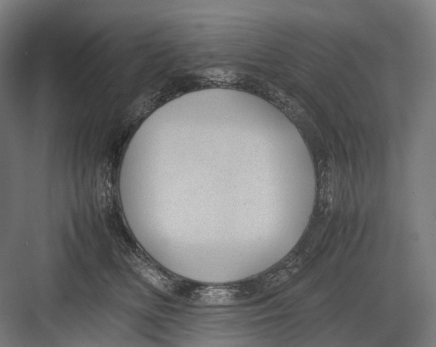 X0000082690518200702161727