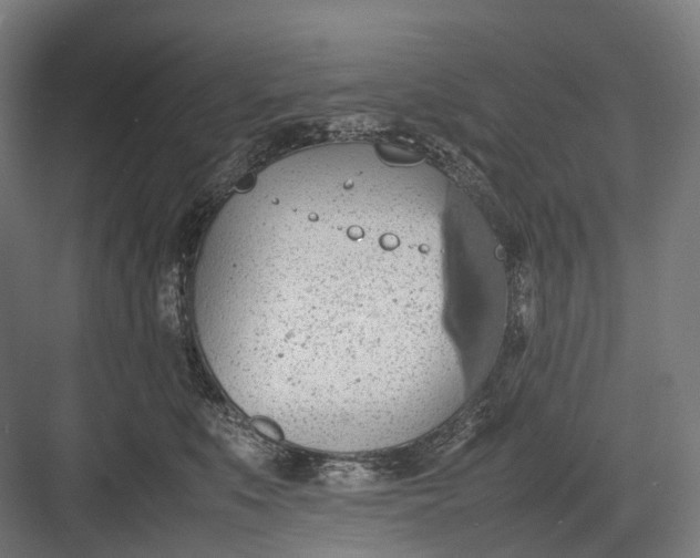 X0000082690519200702161727