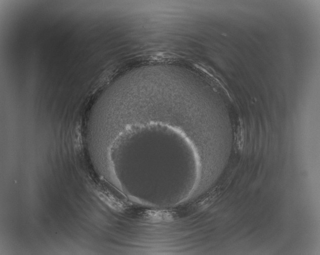 X0000082690520200702161727