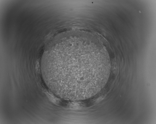 X0000082690523200702161727