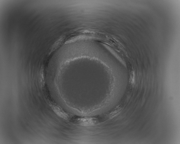 X0000082690524200702161727