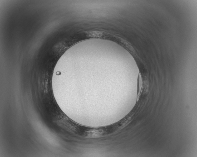 X0000082690525200702161727