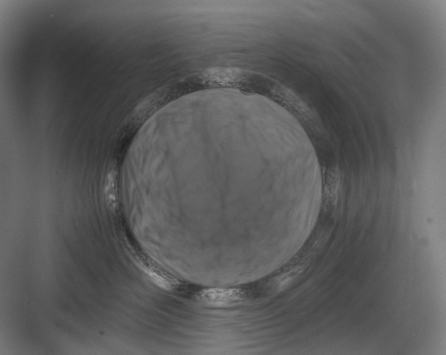 X0000082690526200702161727