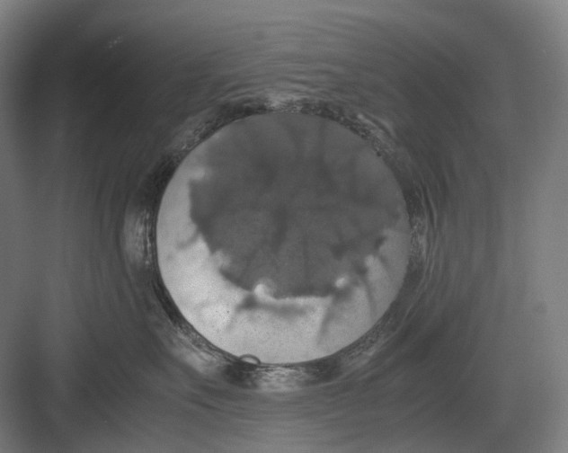 X0000082690527200702161727