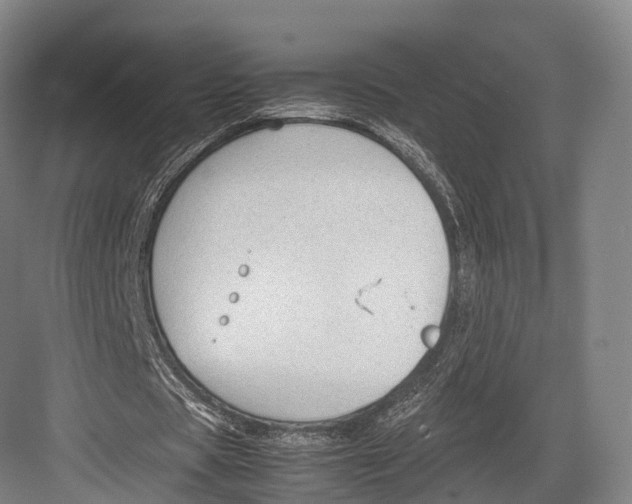 X0000082690529200702161726