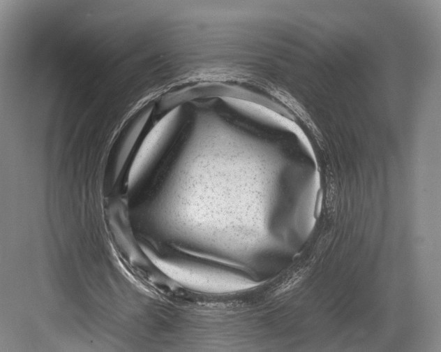 X0000082690530200702161726