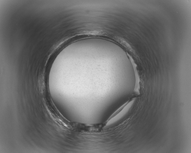 X0000082690532200702161726