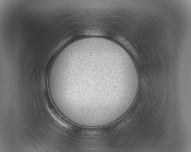 X0000082690533200702161726