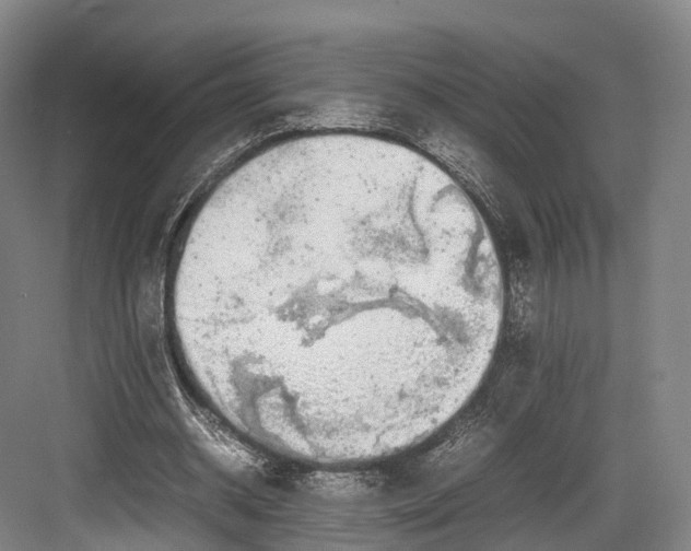 X0000082690534200702161726