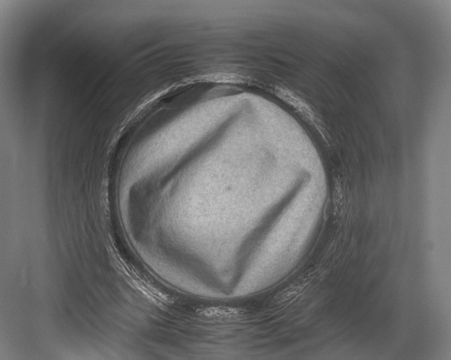 X0000082690535200702161726