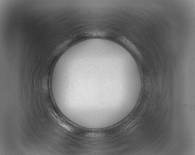 X0000082690537200702161726