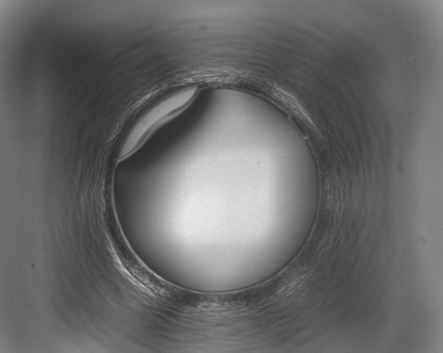 X0000082690538200702161726