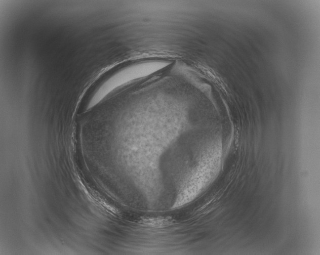 X0000082690540200702161726