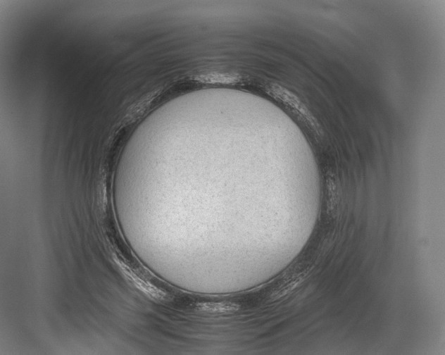 X0000082690541200702161726