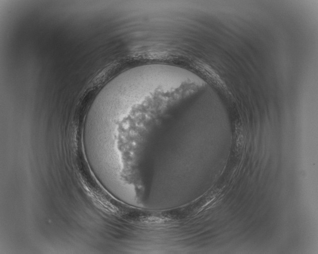 X0000082690542200702161726