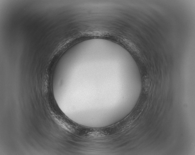 X0000082690544200702161727