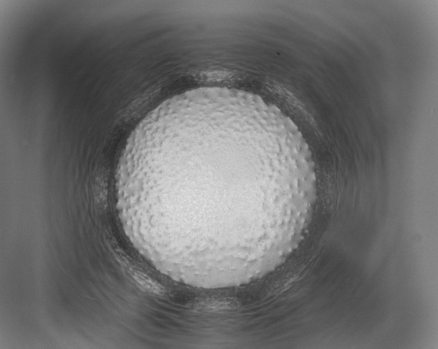 X0000082690545200702161727