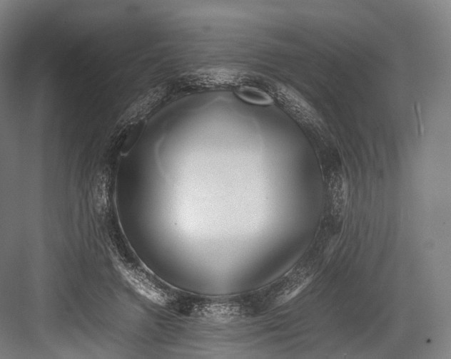 X0000082690546200702161727