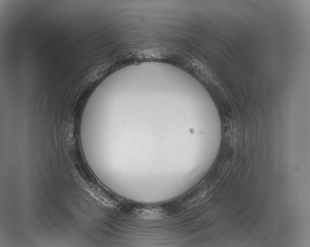 X0000082690548200702161727