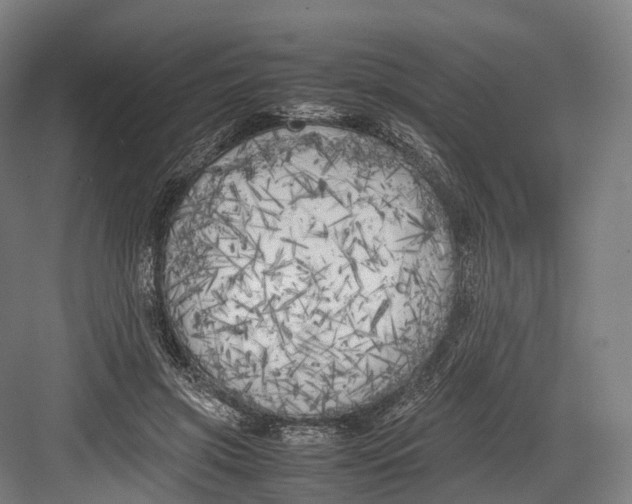 X0000082690549200702161727