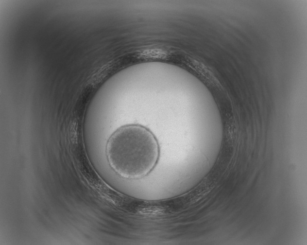 X0000082690551200702161727