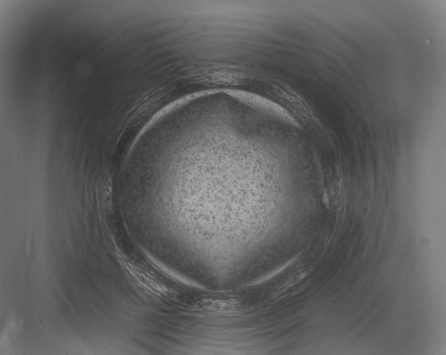 X0000082690552200702161727