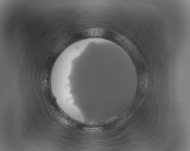 X0000082690553200702161727