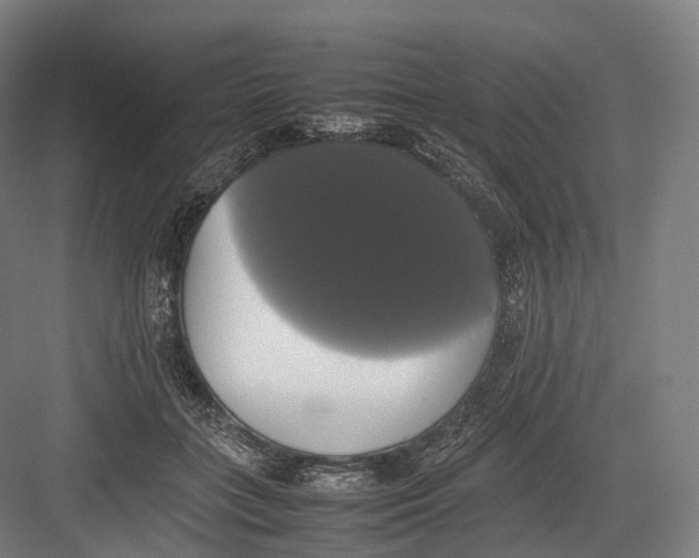 X0000082690555200702161727