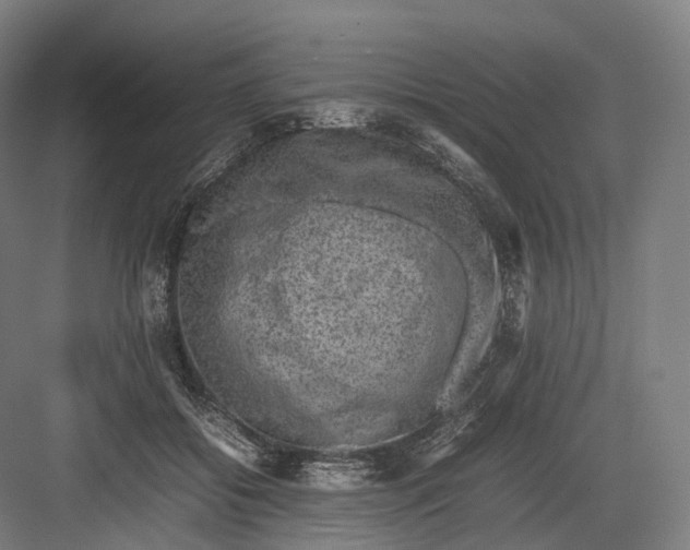 X0000082690556200702161727