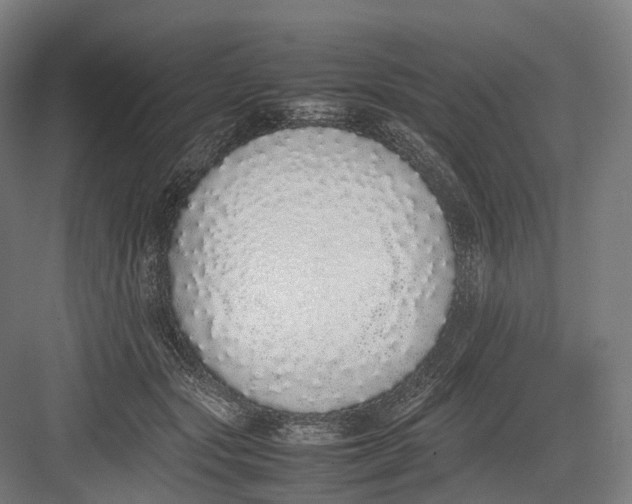 X0000082690557200702161727