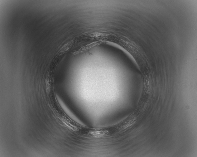 X0000082690558200702161727