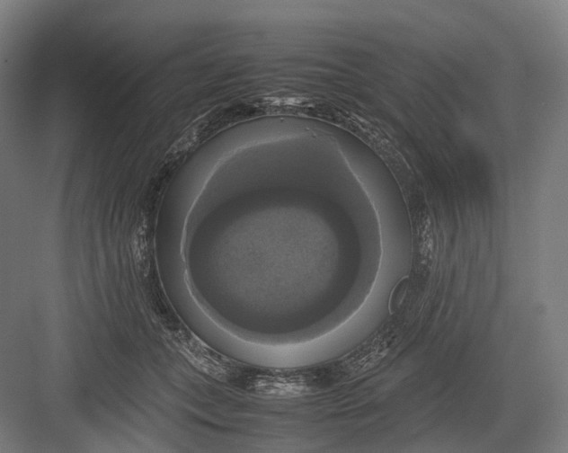 X0000082690559200702161727