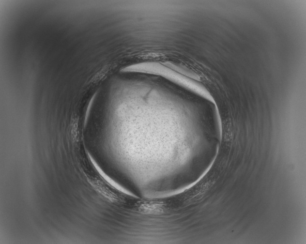 X0000082690560200702161727