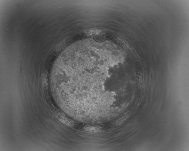 X0000082690561200702161727